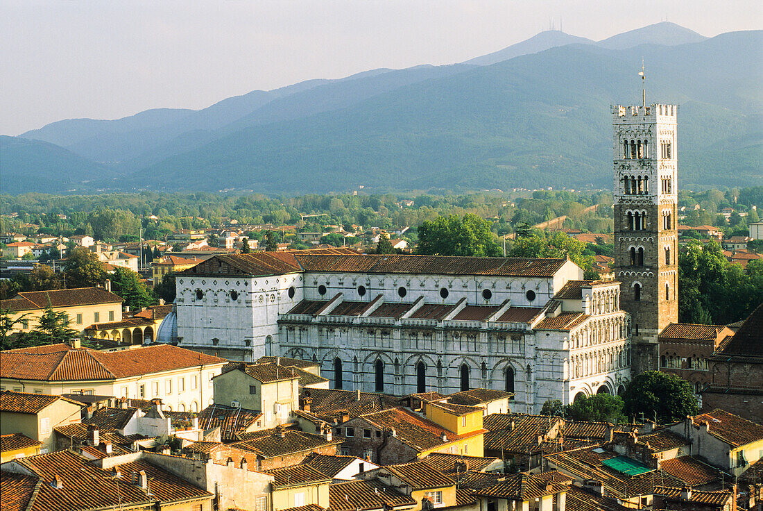 Duomo di San Martino, Lucca, Toskana, Italien, Europa