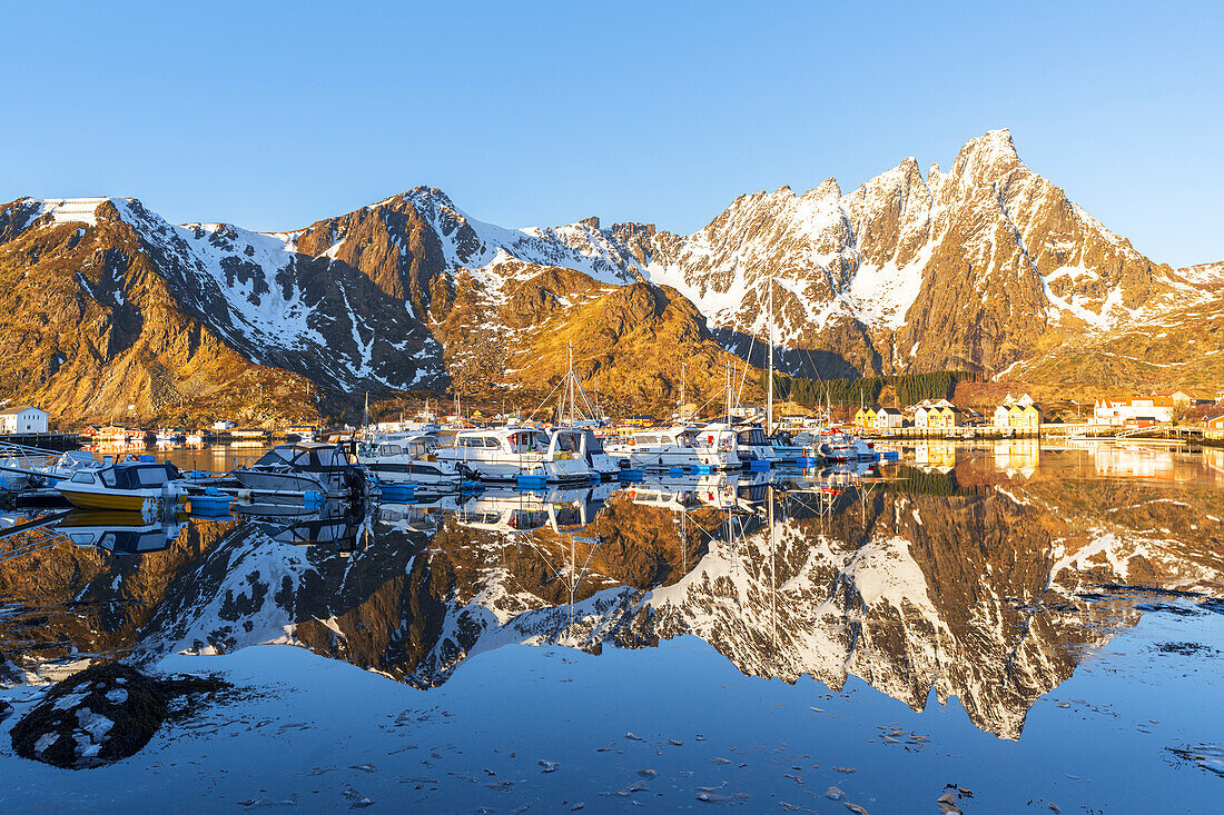 Morgenansicht des Yachthafens von Ballstad und Spiegelung der Berge im ruhigen und gefrorenen Wasser, Frühling, Ballstad, Vestvagoy, Lofoten, Norwegen, Skandinavien, Europa