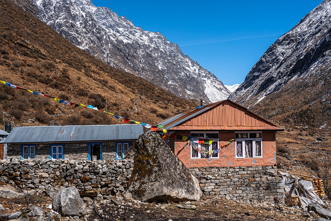 Colorful Tin Huts with snow-covered mountain peaks in the background on the Langtang Valley trek, Himalayas, Nepal, Asia