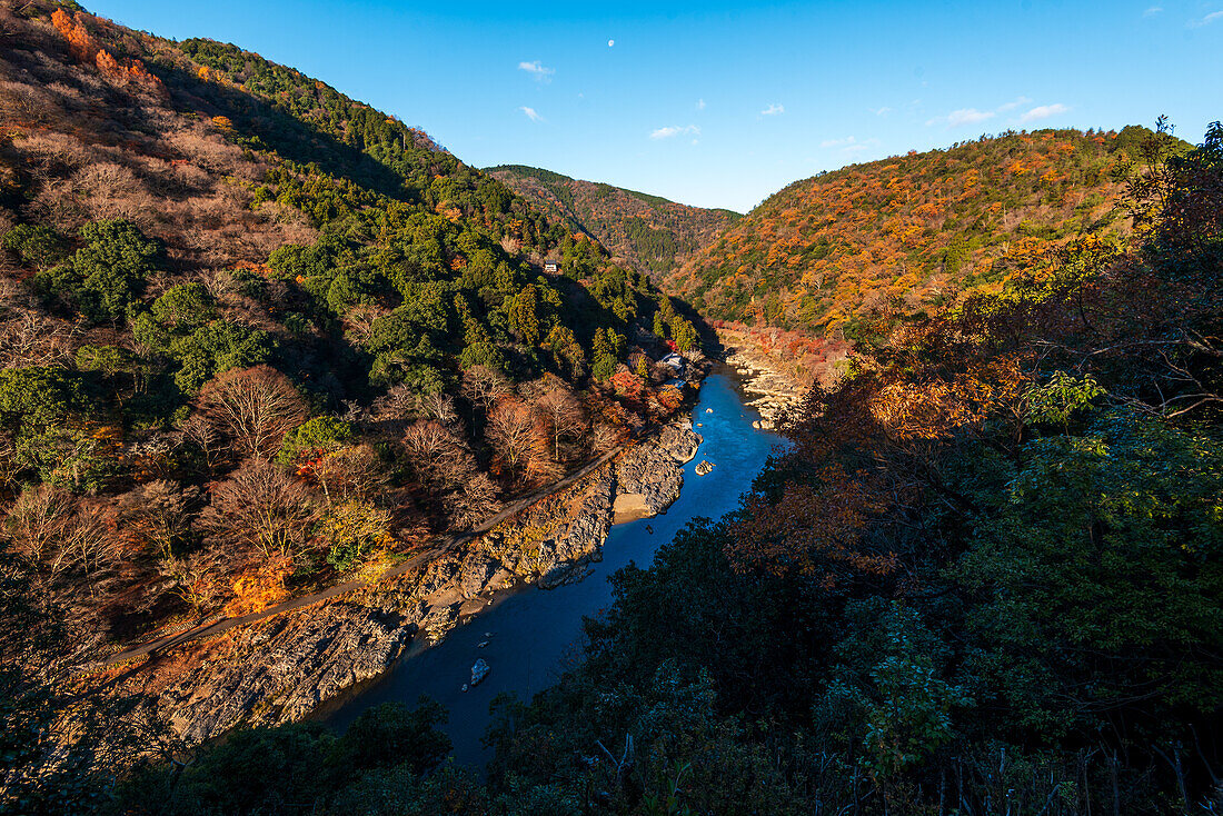 Autumnal forests in Arashiyama of Kyoto, Honshu, Japan, Asia