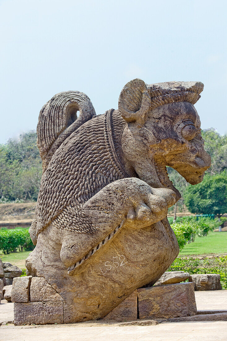 Steinstatue eines Fabelwesens in den Ruinen des Sonnentempels aus der Mitte des 13. Jahrhunderts, der dem hinduistischen Sonnengott Surya geweiht ist und als zwölfrädriger, von sieben Pferden gezogener Wagen konstruiert wurde, UNESCO-Weltkulturerbe, Konarak, Puri District, Odisha, Indien, Asien