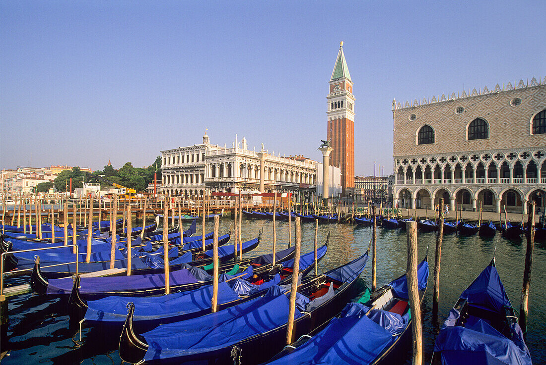 Gondolas moored at Riva degli Schiavoni with the Doges Palace and Campanile of San Marco background, Venice, UNESCO World Heritage Site, Veneto region, Italy, Europe