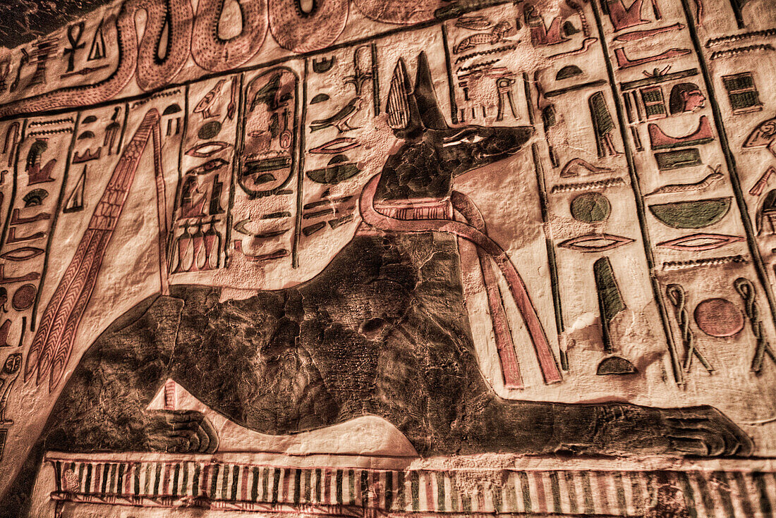 Darstellung des Gottes Anubis, Malereien und Reliefs, Grab der Nefertari, QV66, Tal der Königinnen, Antikes Theben, UNESCO-Welterbe, Luxor, Ägypten, Nordafrika, Afrika