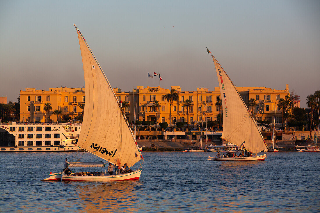 Feluken, die auf dem Nil segeln, Luxor, Ägypten, Nordafrika, Afrika