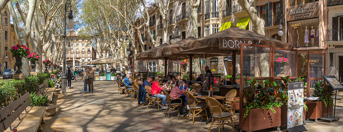 Blick auf Cafés am Paseo del Borne, Palma de Mallorca, Mallorca, Balearen, Spanien, Mittelmeer, Europa