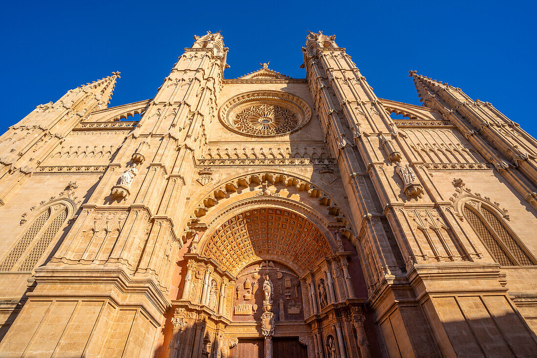 Blick auf die Kathedrale-BasA?lica de Santa MarA?a de Mallorca, Palma de Mallorca, Mallorca, Balearische Inseln, Spanien, Mittelmeer, Europa