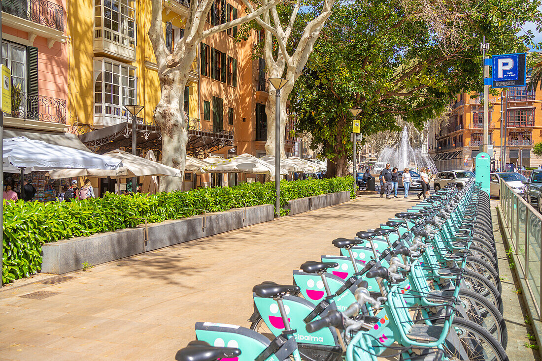 View of cafes and cycles along Avenue d'Antoni Maura, Palma de Mallorca, Majorca, Balearic Islands, Spain, Mediterranean, Europe