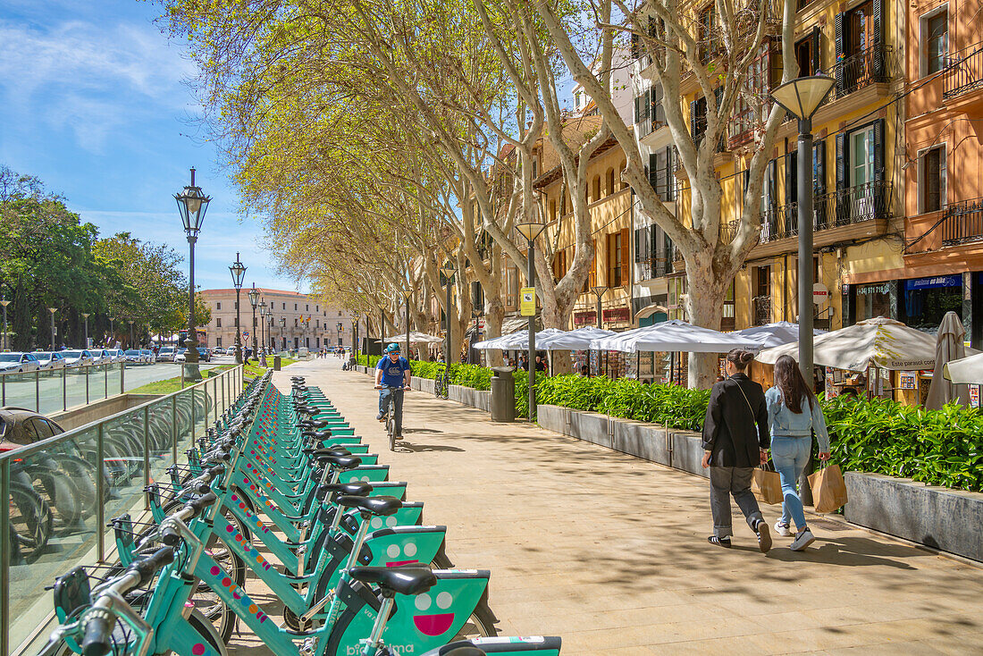 Blick auf Cafés und Fahrräder entlang der Avenue d'Antoni Maura, Palma de Mallorca, Mallorca, Balearen, Spanien, Mittelmeer, Europa