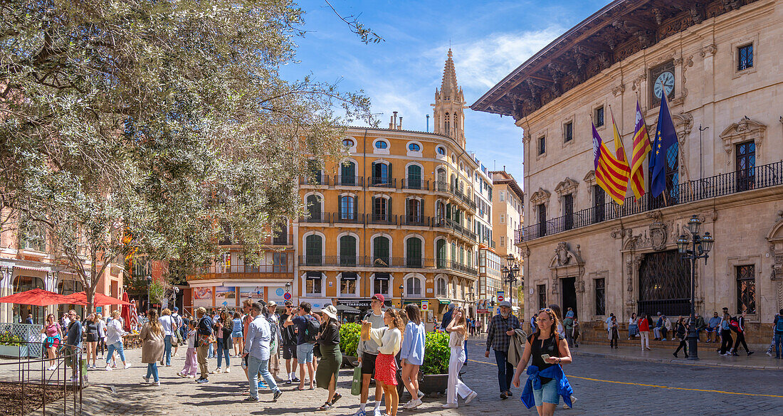 Blick auf das Rathaus an der Placa de Cort, Palma de Mallorca, Mallorca, Balearen, Spanien, Mittelmeer, Europa