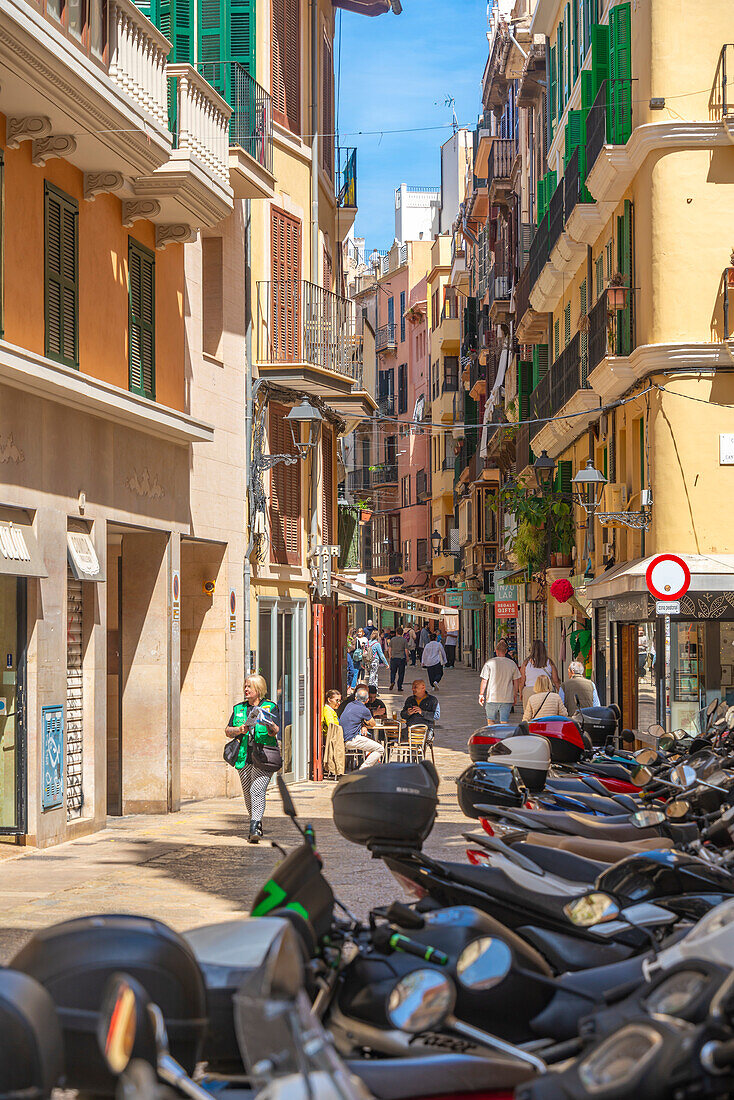 Blick auf Geschäfte und Einkäufer in enger Straße, Palma de Mallorca, Mallorca, Balearen, Spanien, Mittelmeer, Europa