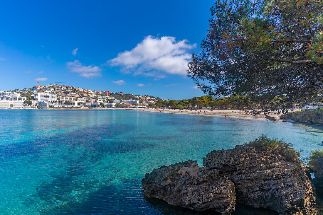 Blick auf felsige Küste mit türkisfarbenem Meer und Santa Ponsa, Mallorca, Balearen, Spanien, Mittelmeer, Europa