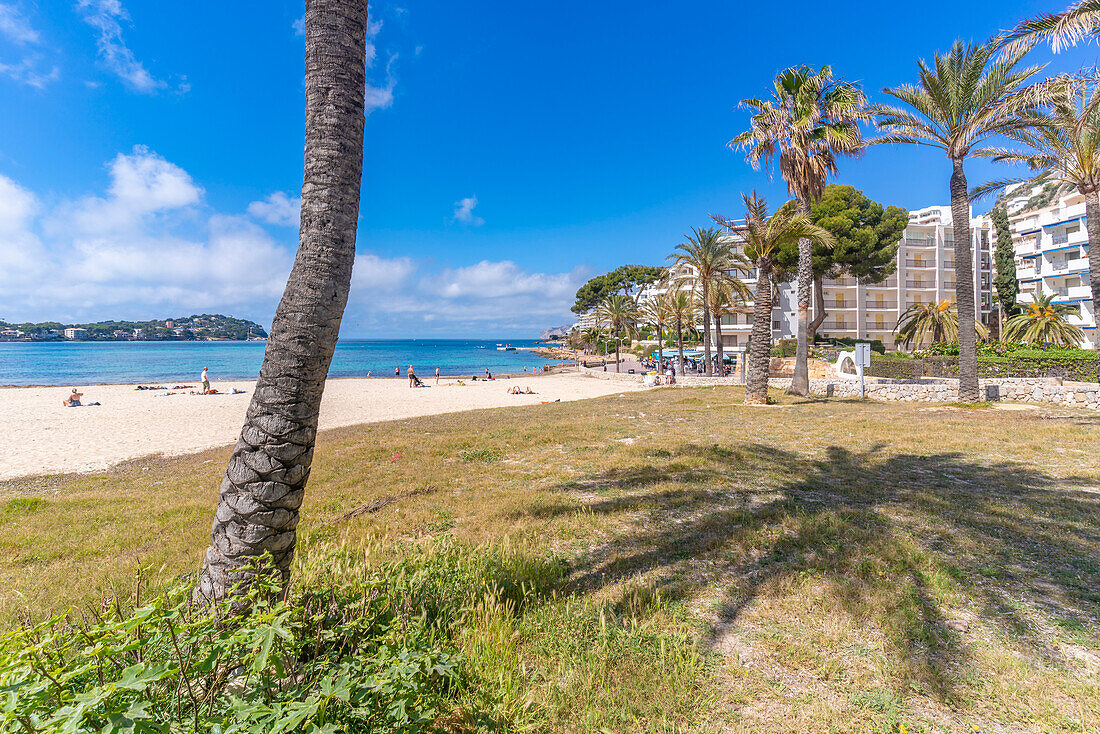 Blick auf Strand und Hotels in Santa Ponsa, Mallorca, Balearen, Spanien, Mittelmeer, Europa