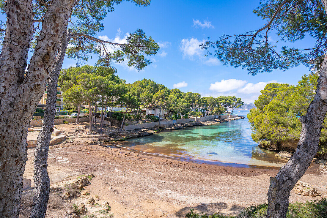 View of Es Calo d'en Pellicer beach in Santa Ponsa, Majorca, Balearic Islands, Spain, Mediterranean, Europe