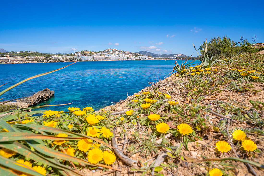 View of rocky shoreline by turquoise sea and Santa Ponsa, Majorca, Balearic Islands, Spain, Mediterranean, Europe