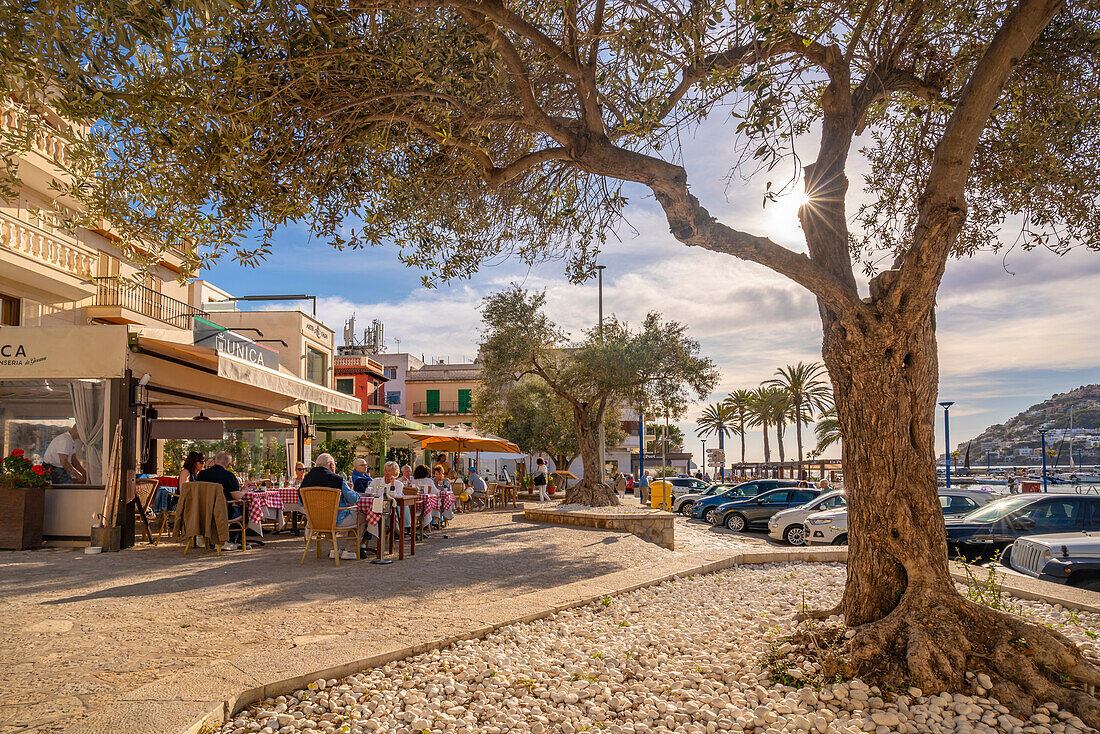 Blick auf Bars und Cafés in Port d'Andratx, Mallorca, Balearen, Spanien, Mittelmeer, Europa