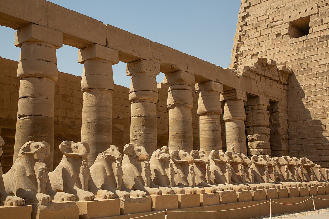 Widderköpfige Sphinxen, Großer Hof, Tempelkomplex von Karnak, UNESCO-Welterbe, Luxor, Ägypten, Nordafrika, Afrika