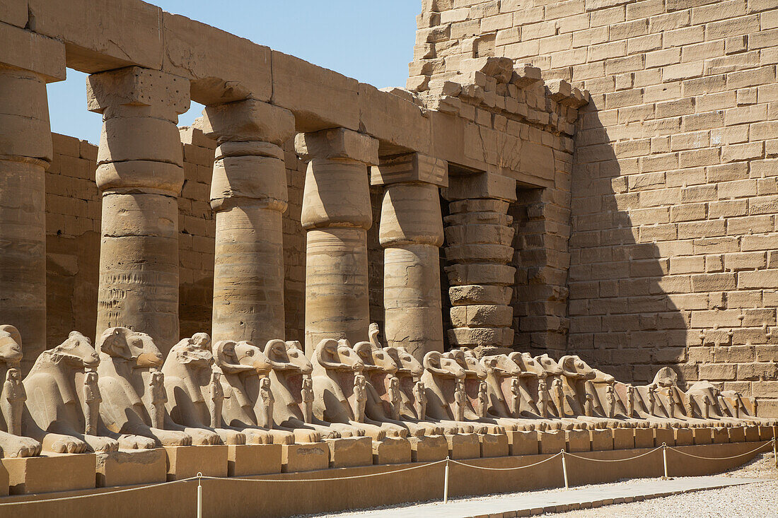 Widderköpfige Sphinxen, Großer Hof, Karnak-Tempelkomplex, UNESCO-Welterbe, Luxor, Ägypten, Nordafrika, Afrika