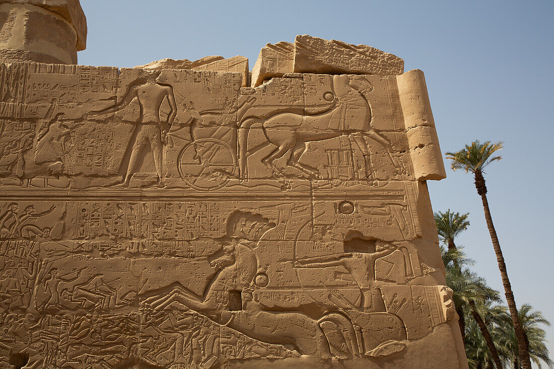 Bas Relief, Wall, Karnak Temple Complex, UNESCO World Heritage Site, Luxor, Egypt, North Africa, Africa