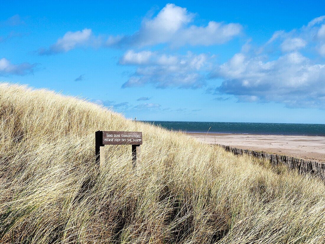 Dünen bei den West Sands in St. Andrews, Fife, Schottland, Vereinigtes Königreich, Europa