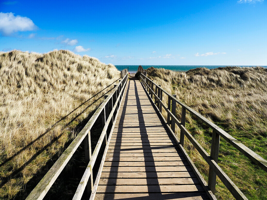 Dünen an den West Sands in St. Andrews, Fife, Schottland, Vereinigtes Königreich, Europa