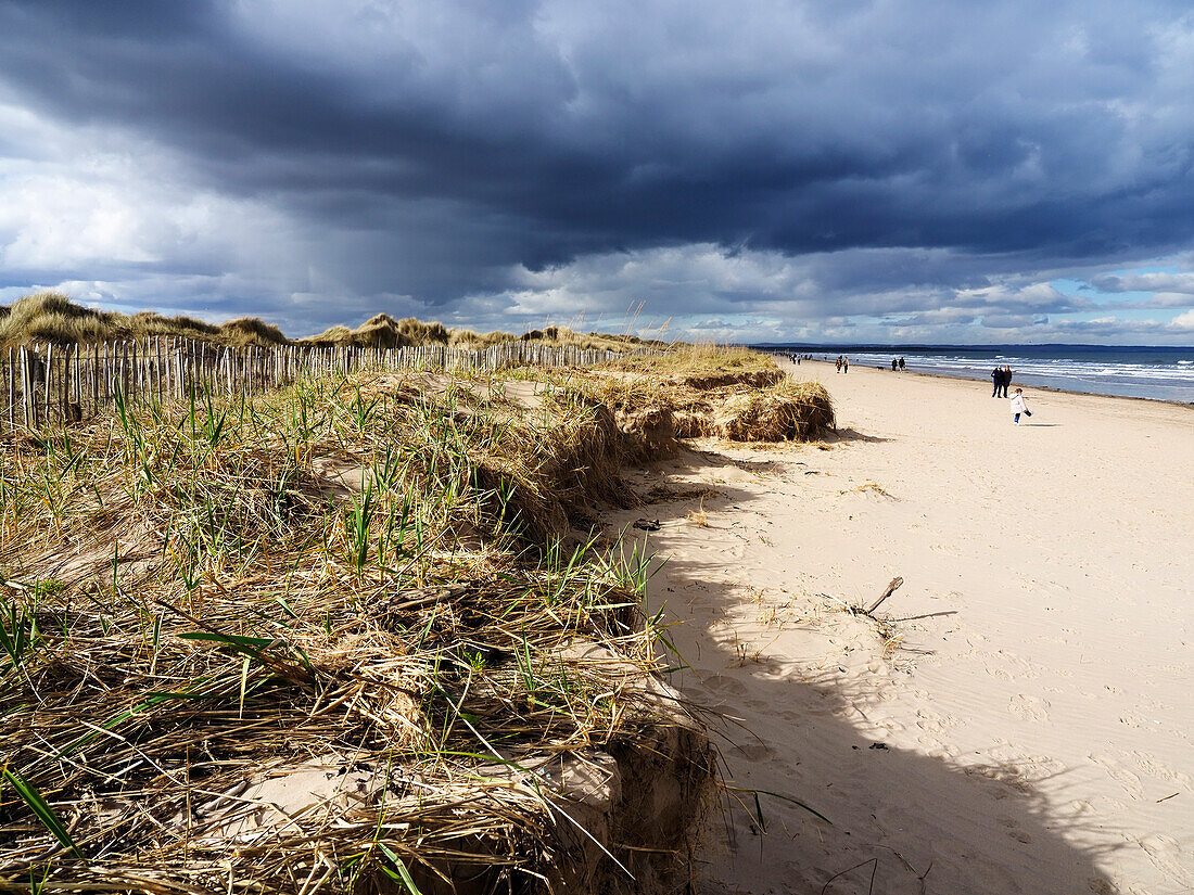 Spaziergänger auf den West Sands in St. Andrews, Fife, Schottland, Vereinigtes Königreich, Europa