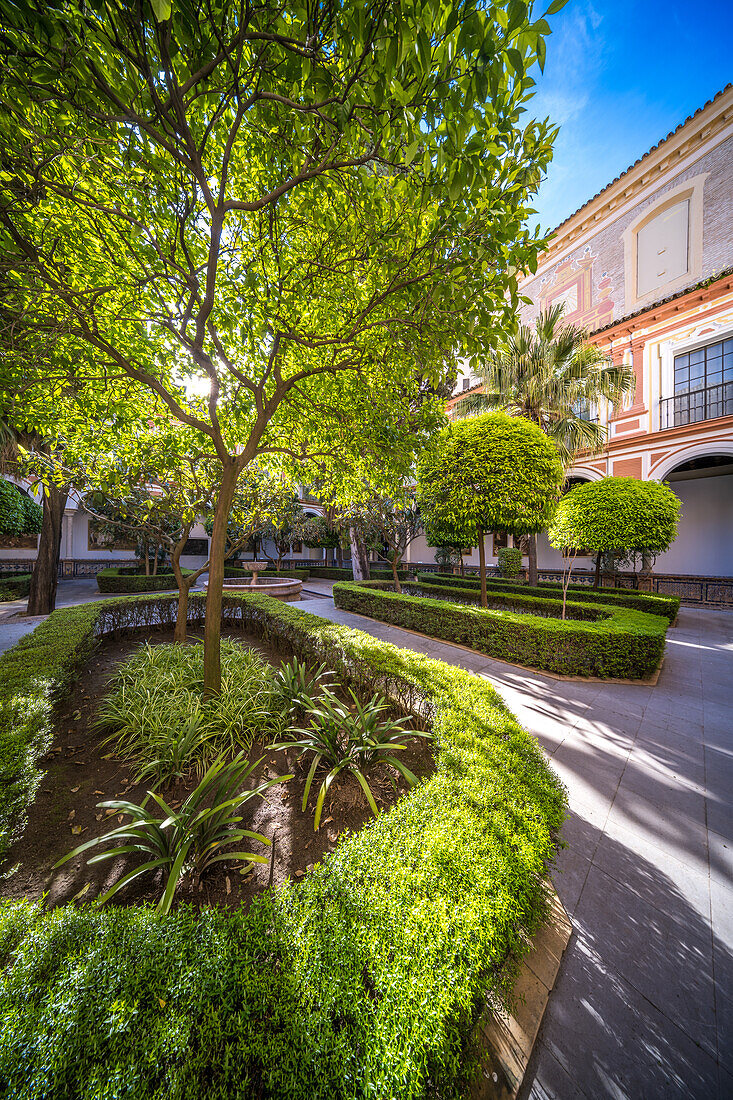 Ruhiger Garten im Hauptinnenhof des Museo de Bellas Artes, Sevilla, Spanien. Wunderschöne Grünanlagen und historische Architektur.