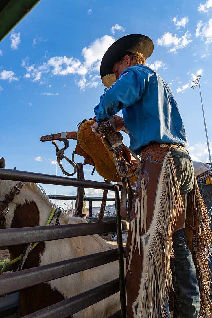 Der Cowboy Josh Davison sattelt bei einem Rodeo im ländlichen Utah das bockende Pferd in der Rutsche.