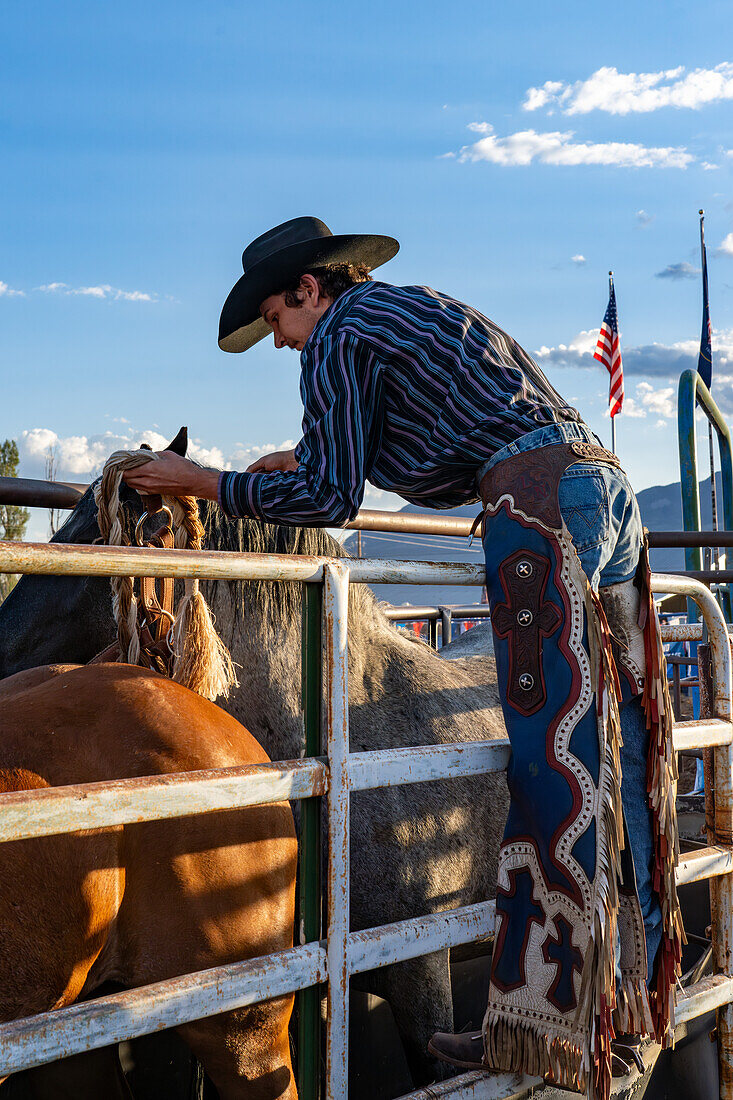 A saddle bronc cowboy Logan Nunn puts his bronc rein & halter on the bucking horse in the chute at a rodeo in rural Utah.