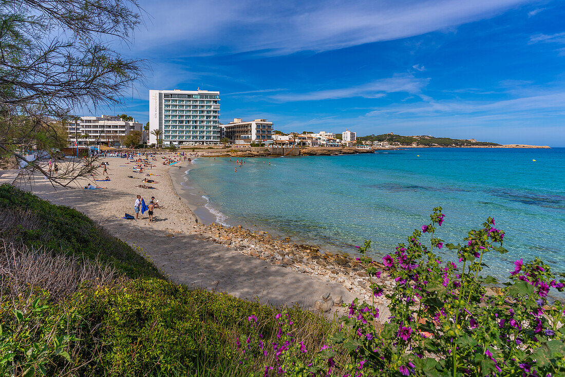 Blick auf den Strand und Badeort Cala Rajada, Mallorca, Balearen, Spanien, Mittelmeer, Europa