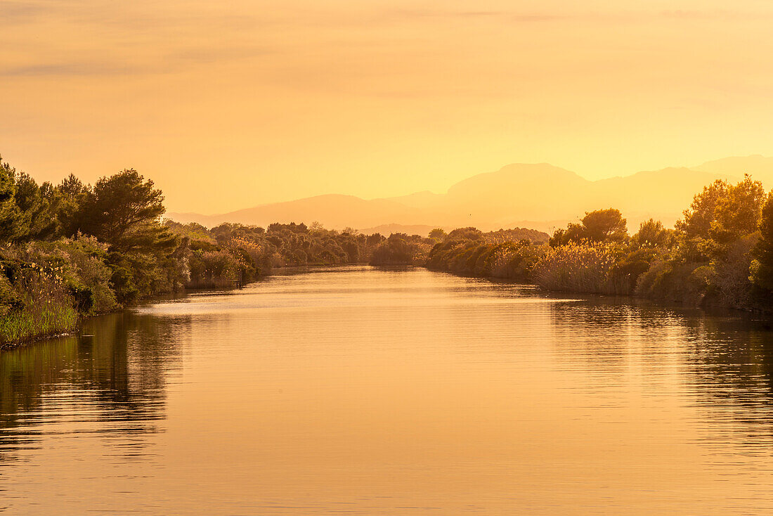 Blick auf den Kanal im Parc Natural de s'Albufera de Mallorca, Mallorca, Balearen, Spanien, Mittelmeer, Europa