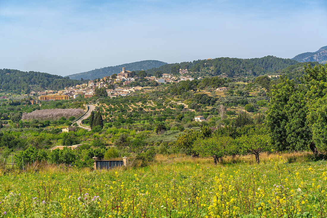 View of hilltop town of Selva, Majorca, Balearic Islands, Spain, Mediterranean, Europe