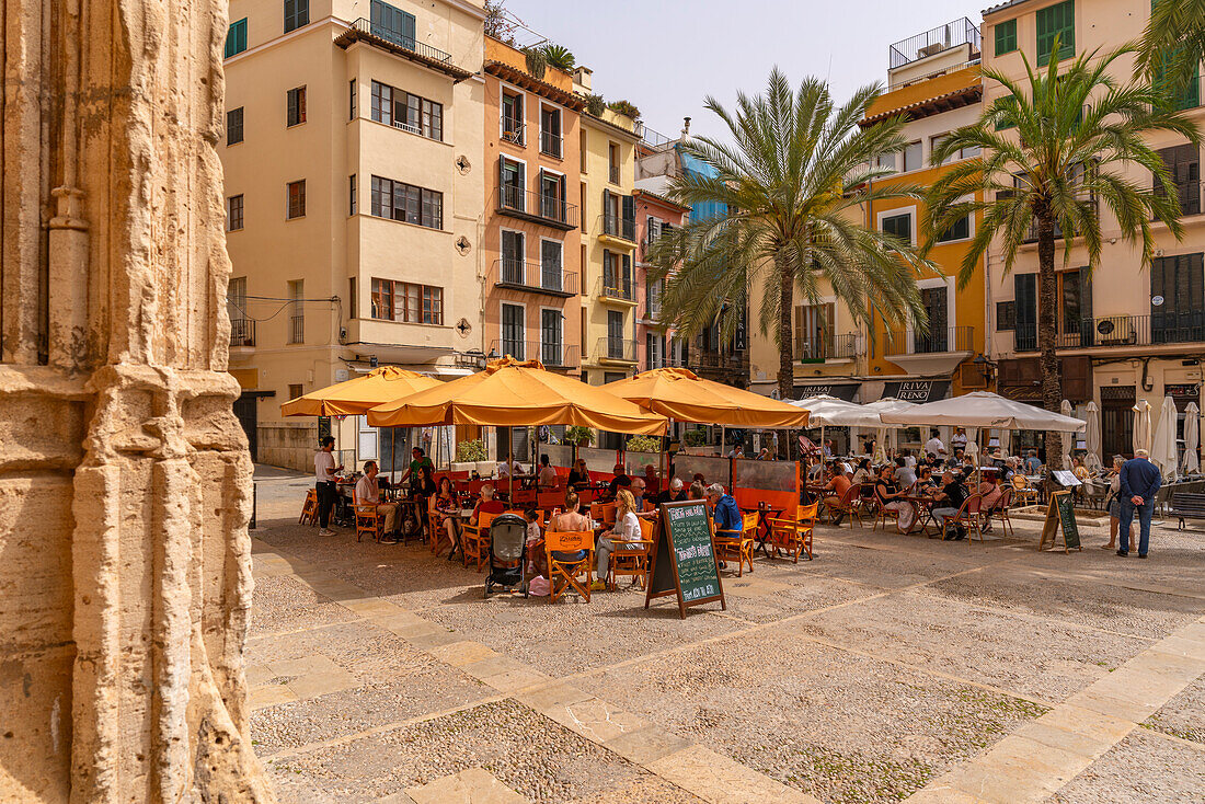 View of cafe in Placa de la Llotja, Palma de Mallorca, Majorca, Balearic Islands, Spain, Mediterranean, Europe