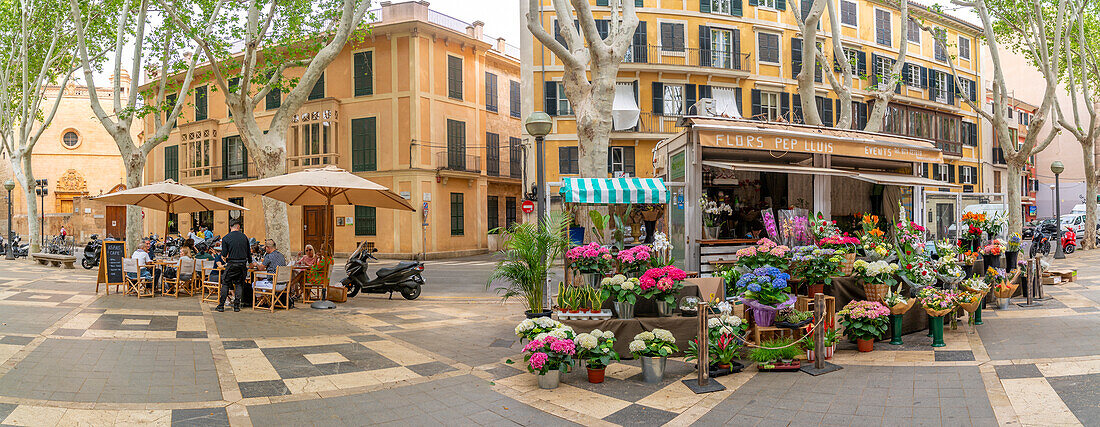 Blick auf einen Blumenstand und ein Café auf der von Bäumen gesäumten La Rambla in Palma, Palma de Mallorca, Mallorca, Balearen, Spanien, Mittelmeer, Europa