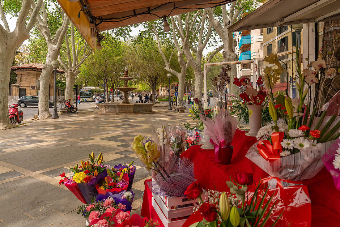 Blick auf Blumenstand und Brunnen auf der von Bäumen gesäumten La Rambla in Palma, Palma de Mallorca, Mallorca, Balearen, Spanien, Mittelmeer, Europa