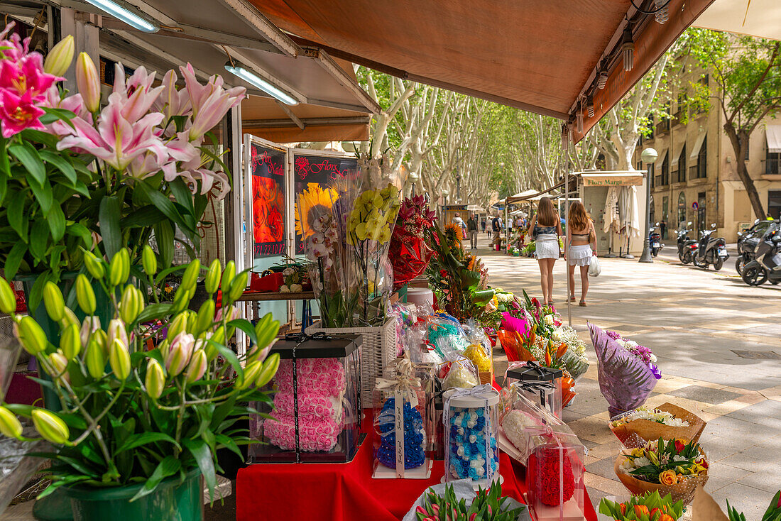 Blick auf einen Blumenstand auf der von Bäumen gesäumten La Rambla in Palma, Palma de Mallorca, Mallorca, Balearen, Spanien, Mittelmeer, Europa