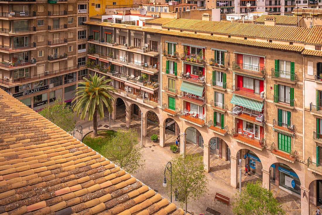 Blick auf Straße und Dächer von erhöhter Position, Palma de Mallorca, Mallorca, Balearen, Spanien, Mittelmeer, Europa