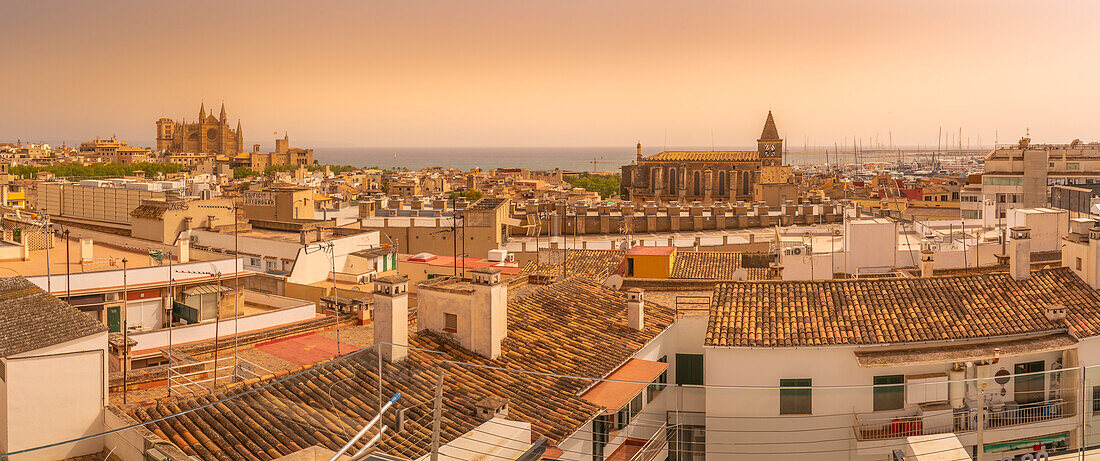 Blick auf die Catedral-BasA?lica de Santa MarA?a de Mallorca und Dächer, Palma de Mallorca, Mallorca, Balearen, Spanien, Mittelmeer, Europa