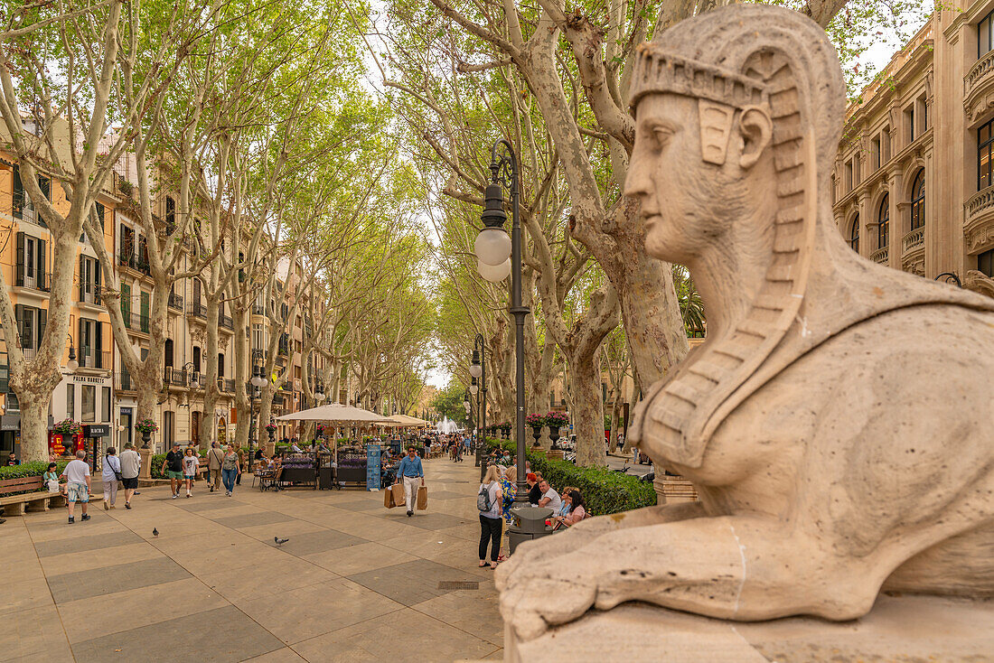 Blick auf den Paseo del Borne Sphinx am Paseo del Borne, Palma de Mallorca, Mallorca, Balearen, Spanien, Mittelmeer, Europa