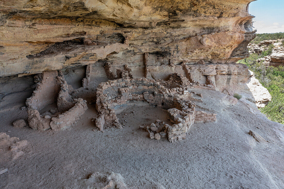 Eine Kiva in den prähispanischen Pueblo-Ruinen des Five Kiva Pueblo oder Little Westwater Ruin in der Nähe von Blanding, Utah.