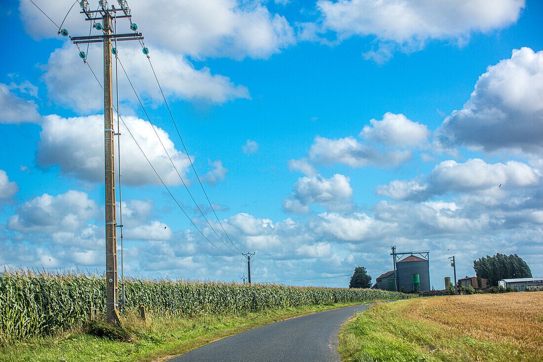 Landstraße durch eine malerische Landschaft in der Calvados, Normandie, Frankreich, unter einem strahlend blauen Himmel mit Schäfchenwolken.