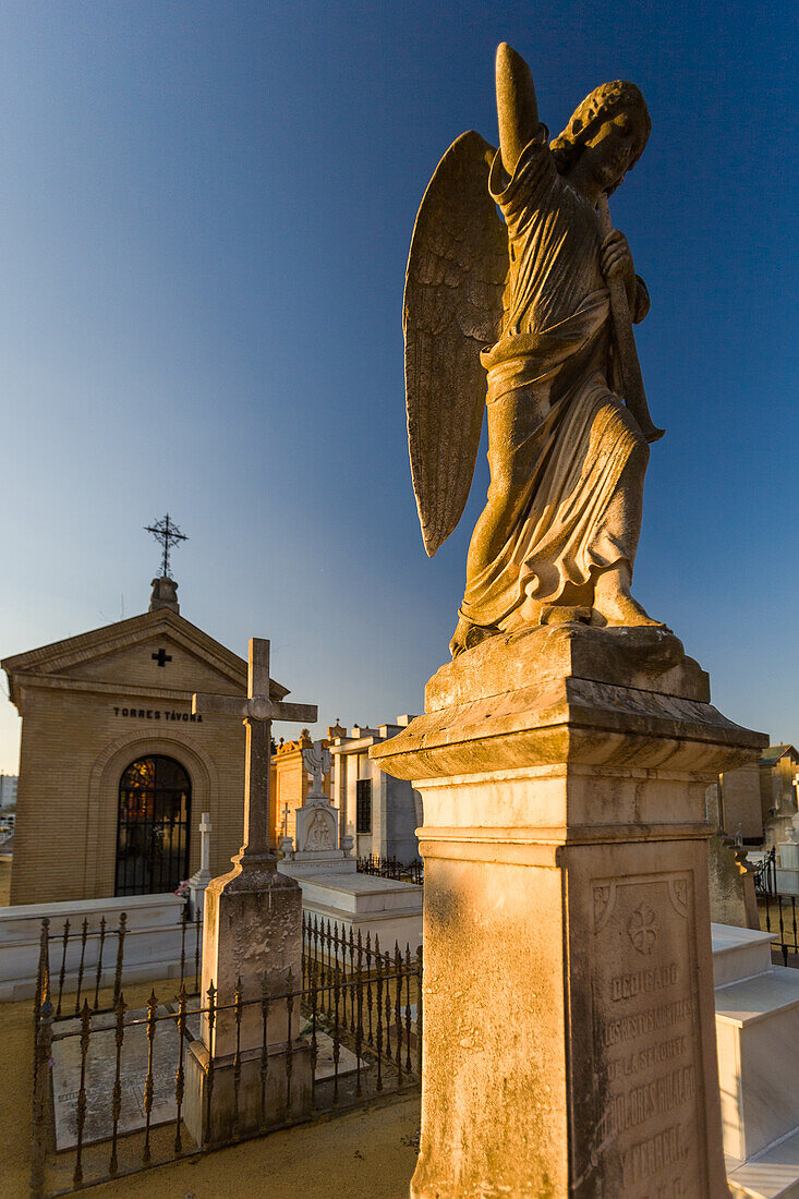 A view of 19th-century tombs and angel statues at Cementerio de San Fernando, Sevilla. Capturing the serene and historic atmosphere of this Andalucian cemetery.