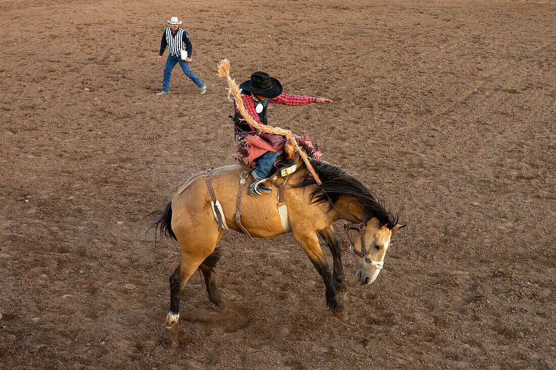 A professional rodeo cowboy in the saddle bronc event in a rodeo in Utah.