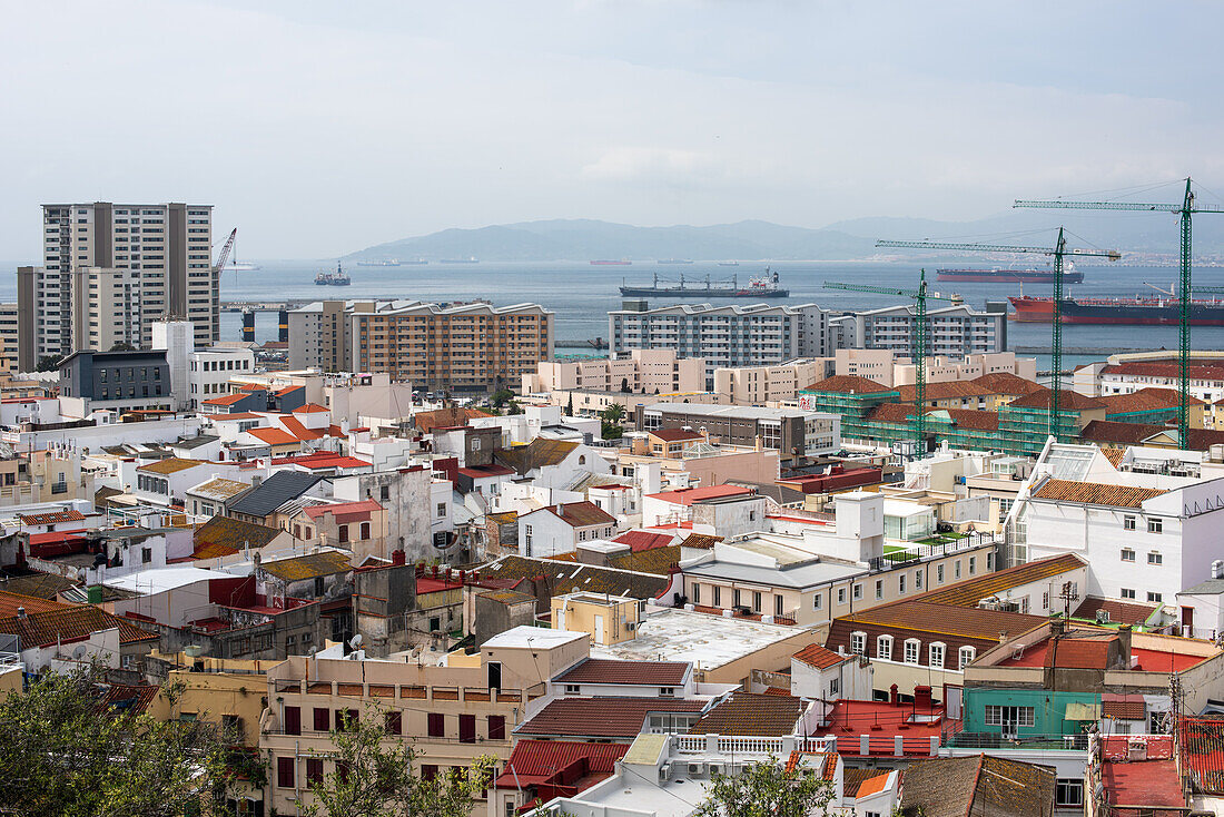 Eine malerische Luftaufnahme der Stadt Gibraltar mit bunten Gebäuden, Kränen und dem Hafen mit angedockten Schiffen.