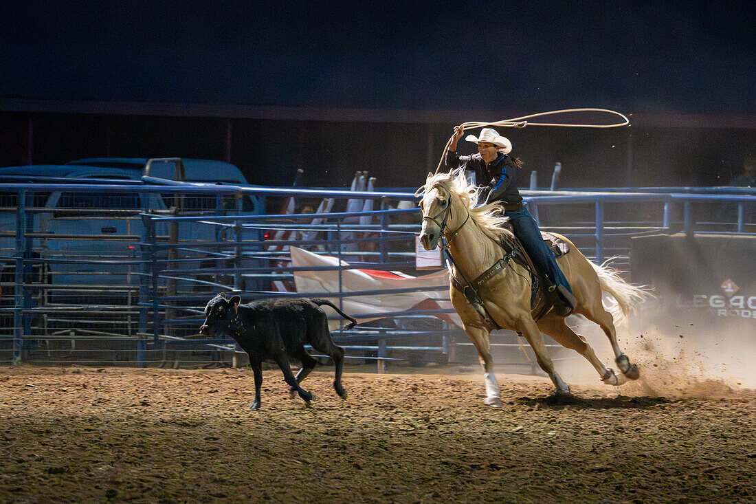 Ein Cowgirl, das am Breakaway Roping teilnimmt, jagt ein Kalb bei einem Rodeo in Utah.