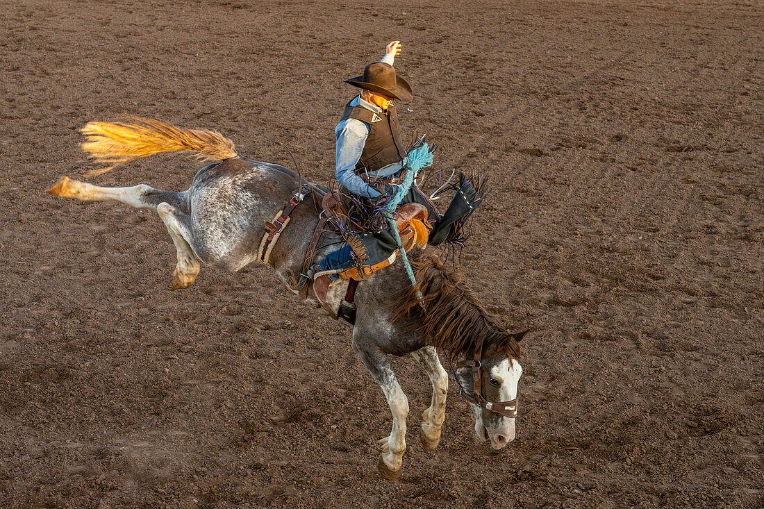 Professional rodeo cowboy Jack Skavdahl in the saddle bronc event in a rodeo in Utah.