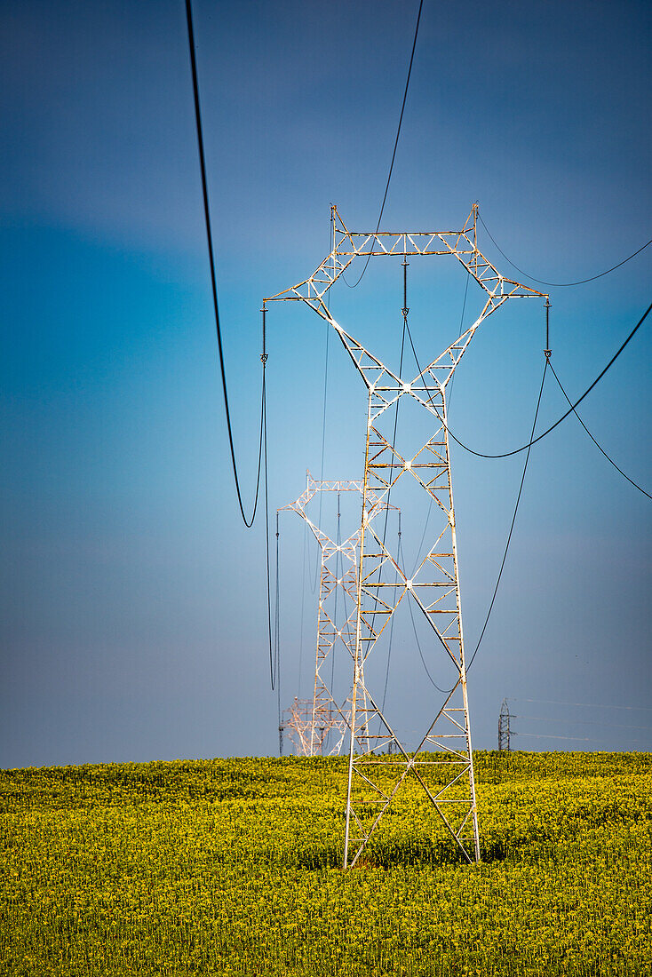 High voltage power lines from a solar thermal plant stretching across sunflower fields in Sanlúcar la Mayor, Sevilla, Andalucía, Spain.