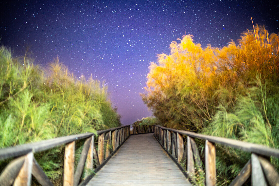 Blick auf den nächtlichen Sternenhimmel über einer hölzernen Promenade, umgeben von üppigen Dünen auf der Isla Canela, Ayamonte, Spanien.