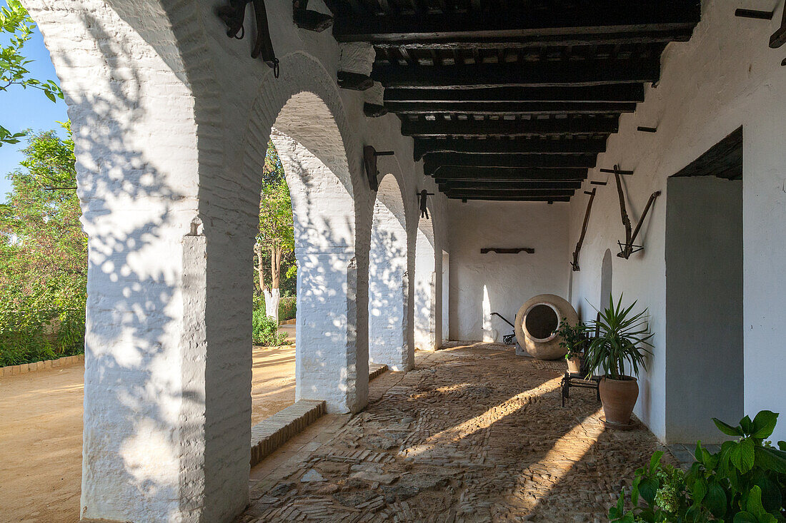 Sunlit arched corridor with white walls and stone floor at Palacio Ducal de Medina Sidonia in Sanlucar de Barrameda, Andalusia, Spain.