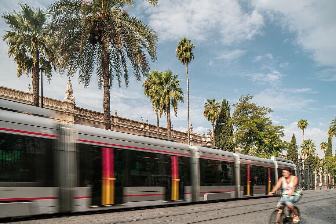 Electric tram passing by with a cyclist on San Fernando Street, Seville, with the Factory of Tobacco in the background.