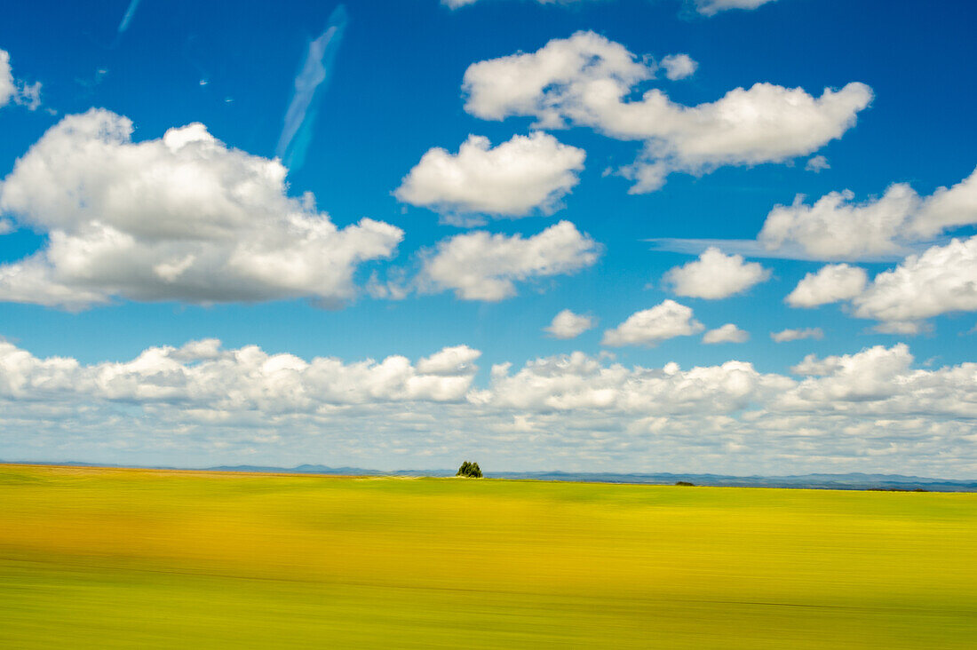 A vibrant Andalusian landscape as seen from a moving car in Cordoba, Spain, showcasing a clear blue sky and rolling fields.